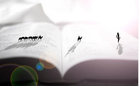 走出去才有機會